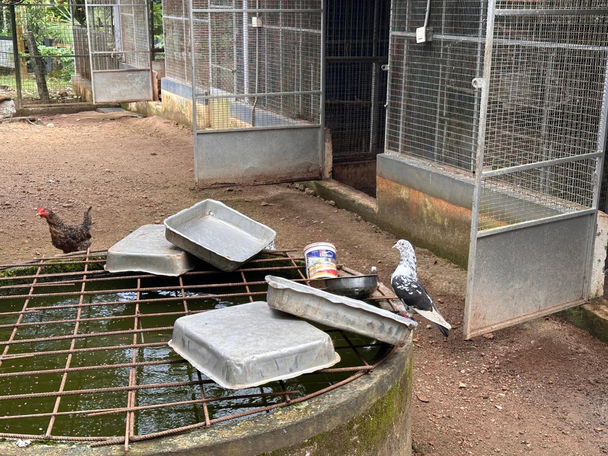 Kattil Farm Stay Varkala Thiruvananthapuram Exteriör bild