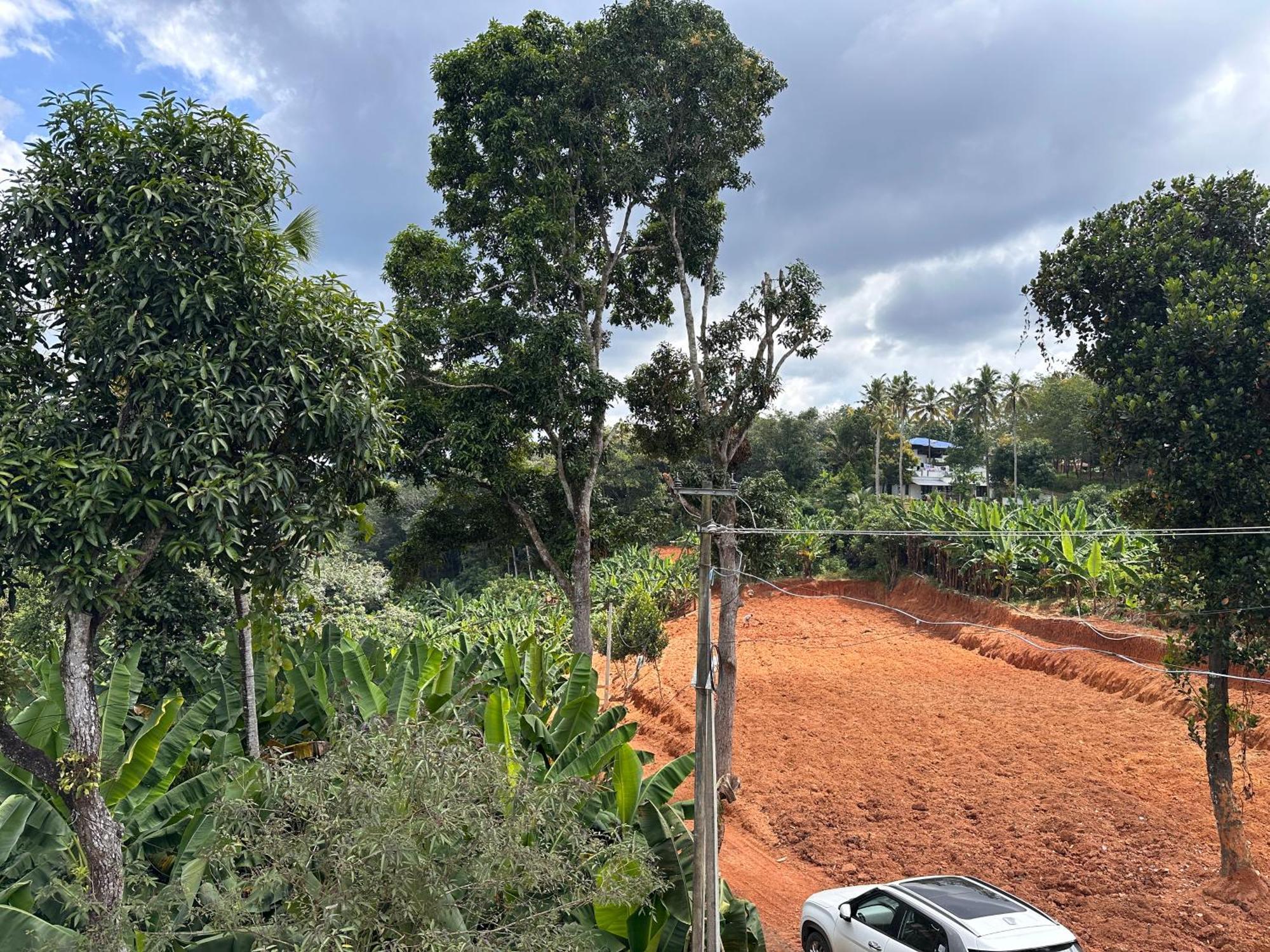 Kattil Farm Stay Varkala Thiruvananthapuram Exteriör bild