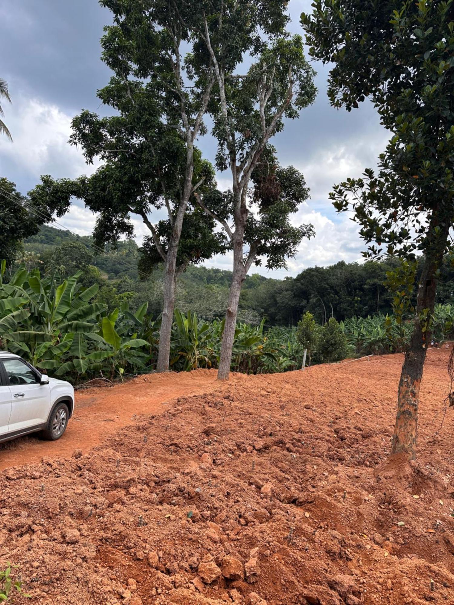 Kattil Farm Stay Varkala Thiruvananthapuram Exteriör bild